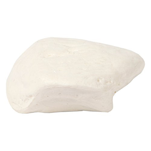 Axis Scientific Patella Bone Model, Left