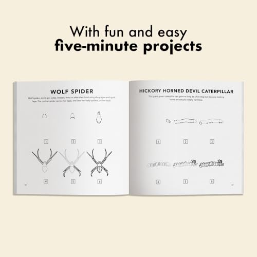 Bugs: How to Draw Books for Kids with Butterflies, Ladybugs, Spiders, and More (How to Draw For Kids Series)