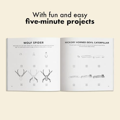 Bugs: How to Draw Books for Kids with Butterflies, Ladybugs, Spiders, and More (How to Draw For Kids Series)