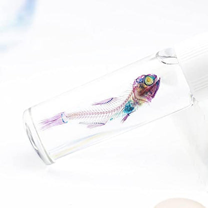 Diaphonized/Transparent Specimen, Deep Sea Fish of West Pacific, Lanternfish - style: Deep Sea Fish, Lanternfish