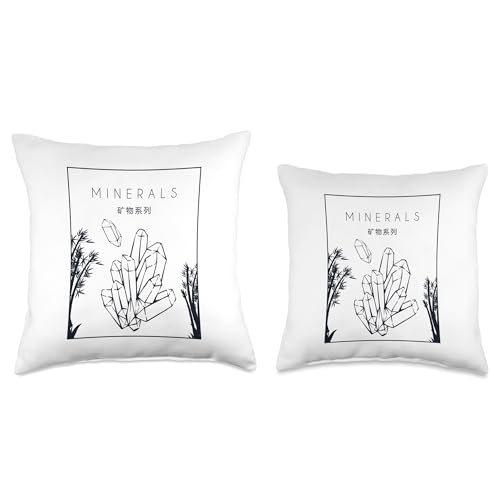 Best Rocks And Minerals Kit Guide Collection Gifts Chinese Hanzi Geologist Mineral Collector Throw Pillow, 18x18, Multicolor - size: 18x18
