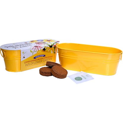 Buzzy Seeds Coneflower & Black-Eyed Susan Grow Kit, Metal Planter