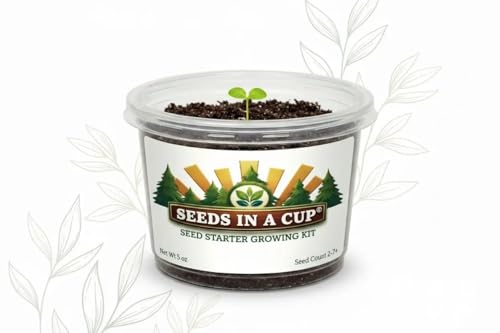 Sugar Maple Tree Grow Kit, Non-GMO Hand-Picked Seeds, All-in-One Starter Set with Nutrient-Rich Soil, Recyclable BPA-Free Planter, 100% Growth Guarantee, Made in USA (American Elm) - style: American Elm