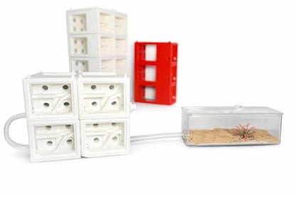 Desktop Ant Farm(White) - color: White