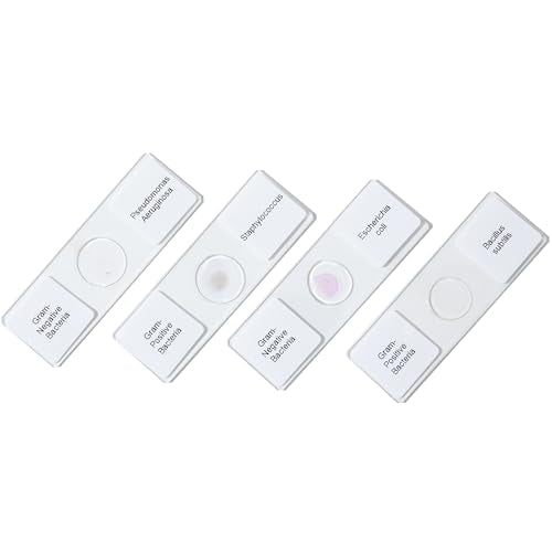 Gram Positive & Negative Bacteria Prepared Microscope Slides, 4 Pack Bacteria Specimens Microscope Slides for Biology Science Class