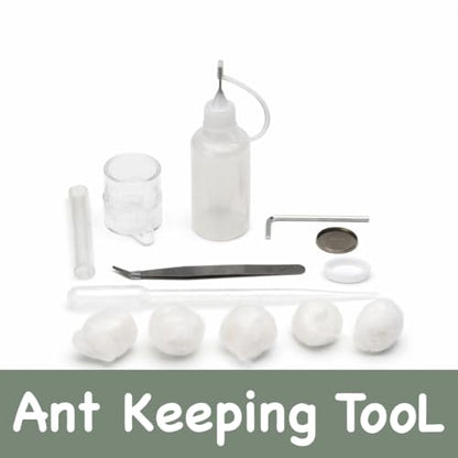 Terra Core Expandable Dual Chamber Formicarium Ant Nest with Starter Kit - size: Terra Core Series-Expandable Dual Chamber