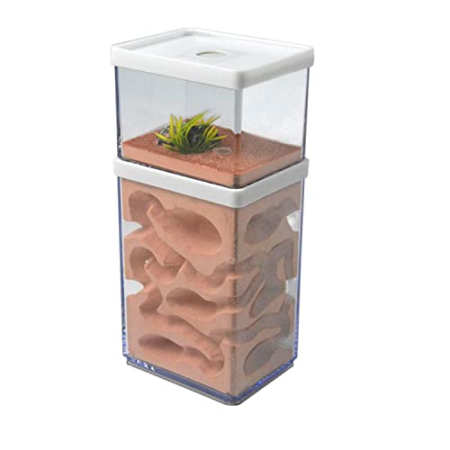 2-Tier Plaster Ant Farm Formicarium Transparent Ant Nest Habitat