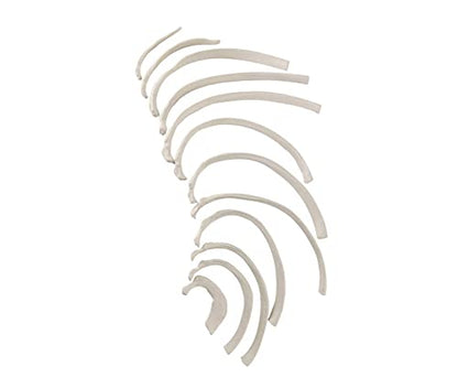 Wellden Medical Full Disarticulated Skeleton, Human Anatomical, Life-Size, 170cm