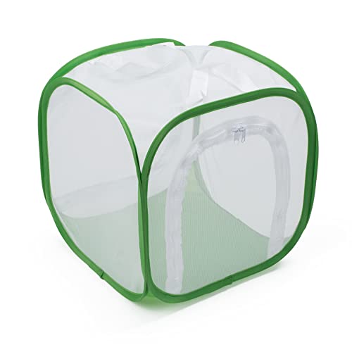 Two Doors Monarch Butterfly Habitat, Insect Mesh Cage, Caterpillar Enclosure Terrarium Pop-up (12 X 12 X 12 Inches) - size: 12 X 12 X 12 Inches