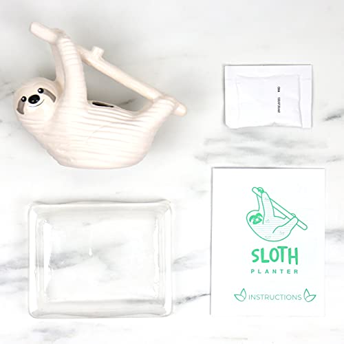 Sloth Shaped Chia Planter and Seeds. Desktop Sprouting Chia Animal. Fun Grow Kit Gift Idea - size: Sloth