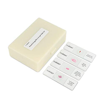 Prepared Parasitology Microscope Slide Set, Excellent 30pcs Slides Resource for Instruction at The College Level (Parasitology) - color: Parasitology