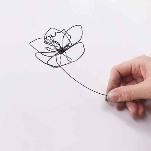 BoFUN Wire Art Flower Craft Kit for Teens & Adults Women Birthday - style: Home Deco