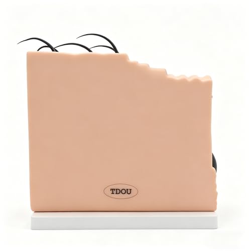 50X TDOU 35/50/70 Times Human Big Anatomical Skin Magnified Tissue Structure Model with Hair 35X/50X/70X Enlarged for Biology Minimally Invasive Cosmetic Surgery Teaching Models(50X)