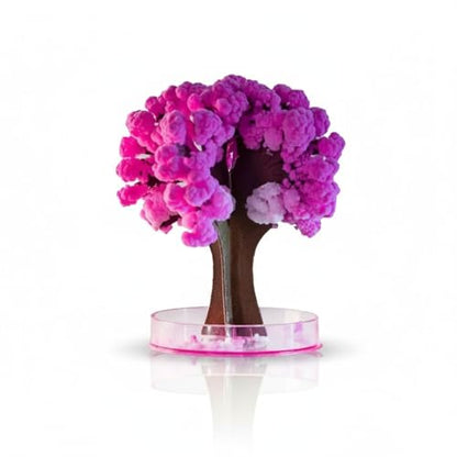 Sakura Crystal Growing Tree Kit, DIY STEM Science Experiment Gift