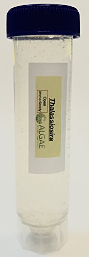 Algae Research Supply Algae Culture Thalassiosira Pseudonana, Perfect for School Science Fairs/Projects, Experiments & Classrooms (50mL) - color: Thalassiosira pseudonana, size: 50 mL