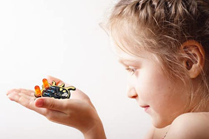 Learn to Solder Kits-Weevil Eyes (Black 3) - color: Black 3