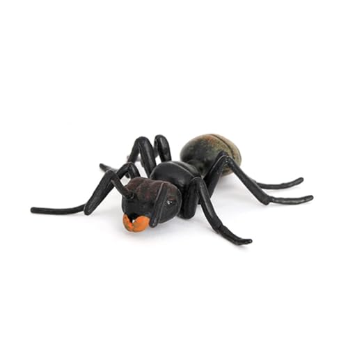 Ant Growth Cycle, Animal Growth Cycle Biological Model Toy Growth Stage Lifelike Ant Life Cycle Model Toy Set for Kids Education Insect Themed Party Favors - style: Ant