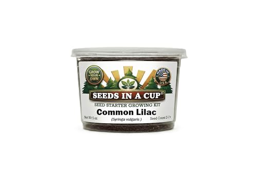 Seeds In A Cup® Lilac Seed Starter Kit | Grow Your Own Fragrant Lilac Tree from Seed | Memorial Gift | Complete Indoor/Outdoor Planting Kit with Soil & Instructions | Made in USA - style: Common Lilac (Syringa vulgaris)