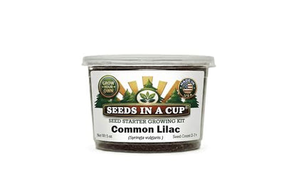 Seeds In A Cup® Lilac Seed Starter Kit | Grow Your Own Fragrant Lilac Tree from Seed | Memorial Gift | Complete Indoor/Outdoor Planting Kit with Soil & Instructions | Made in USA - style: Common Lilac (Syringa vulgaris)