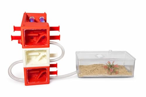 Desktop Ant Farm(White) - color: White