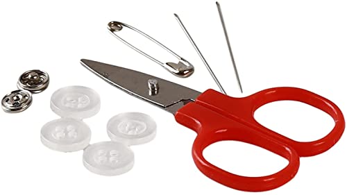 Small Sewing Kit for Beginners, & Smart Girls
