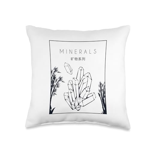 Best Rocks And Minerals Kit Guide Collection Gifts Chinese Hanzi Geologist Mineral Collector Throw Pillow, 16x16, Multicolor - size: 16x16