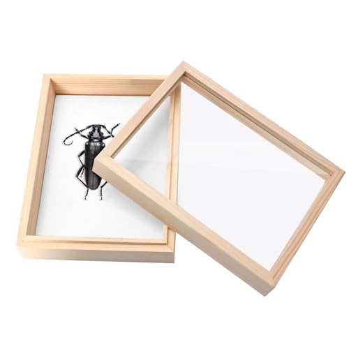 Saihisday Insect Display Case Box Small Bug Display Case Shadow Box