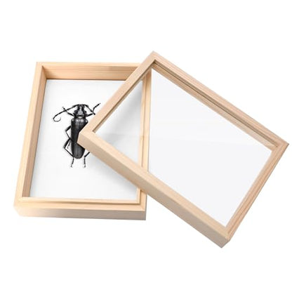 Saihisday Insect Display Case Box Small Bug Display Case Shadow Box