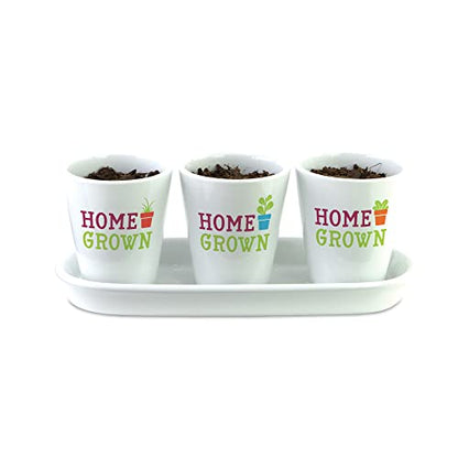 Home Grown Hydroponic Growing Kit - Tools & Instructions for No-Waste Kitchen Gardening. Ages 8 and up.