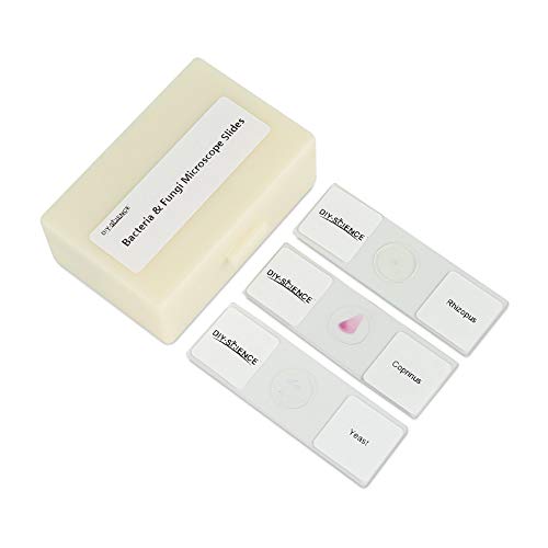 Prepared Bacteria and Fungi Microscope Slide Set, 9pcs Slides for Biology Teacher Students Micro Organisms Science Education - color: Bacteria & Fungi