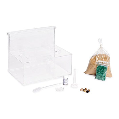 Sand Ant Farm L (Formicarium (Anthill, Formicarium, Educational, Ants)