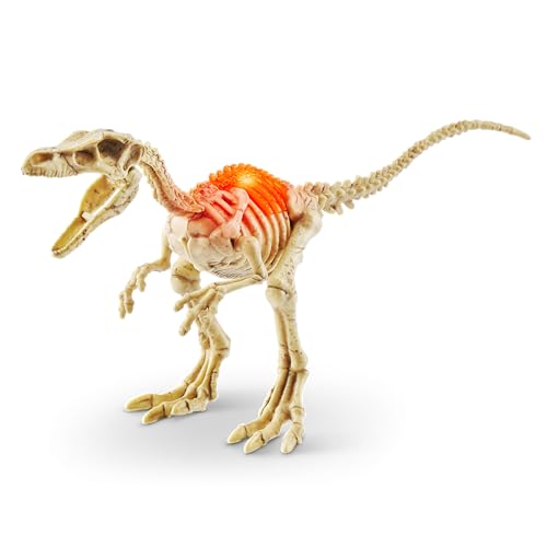 Robo Alive Mini Dino Fossil Find (2 Pack, Troodon & Kosmoceratops) by ZURU Boys 5+ Dig and Discover, STEM, Excavate Prehistoric Fossils, Educational Toys, Great Science Kit Gift for Girls and Boy - color: Troodon+kosmoceratops