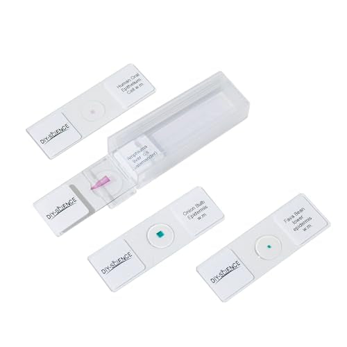 Typical Animals and Plants Cells Microscope Slides, Amphiuma Liver, Human Oral Epithelium, Fava Bean Lower Epidermis, Onion Epidermis, 4 Prepared Slides for Biology Science Class