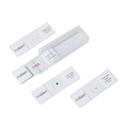 Typical Animals and Plants Cells Microscope Slides, Amphiuma Liver, Human Oral Epithelium, Fava Bean Lower Epidermis, Onion Epidermis, 4 Prepared Slides for Biology Science Class