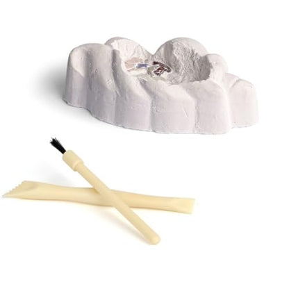 Liberty Imports 12-Pack Fairy and Unicorn Excavation Kit for Kids - Enchanted Magical Digging Adventure - Ideal Party Favors, Educational STEM Toys for Girls and Boys - style: Fairies