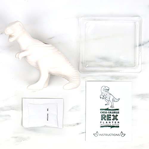 Gift Republic Dinosaur Shaped Chia Planter. Desktop Sprouting Chia Animal. Fun Grow Kit - Chiasaurus Rex - size: Dinosaur