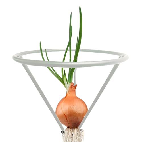 Avocado Growing Bracket Triangular Plant Root Germination Holder - color: Silver