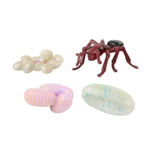 Insect Lore Bug Camp Bundle - Butterfly Kit with 5 Live Caterpillars, Ladybug Land with 1 Tube Live Larvae, Ant Mountain with 1 Tube Live Western Harvester Ants - Bonus Life Cycle Figurines & More