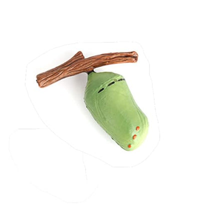 Butterfly Growth Cycle, Animal Growth Cycle Biological Model, Growth Stage Lifelike Butterfly Life Cycle Model Set for Kids Education Insect Themed Party Favors - style: Butterfly