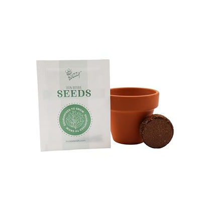 BUZZY Seeds Bright Series Grow Kit 12-Pack, Terracotta Pots, Assorted