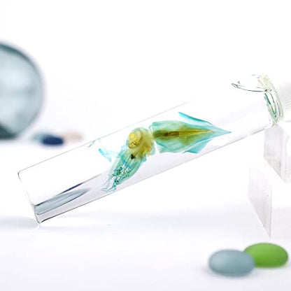 Diaphonized/ Transparent specimen, Deep sea creature of West Pacific,Squid, Teuthida - style: Squid, Teuthida…