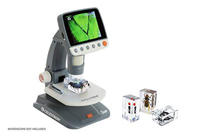 Celestron Real 3D Wasp, Ant, Chafer & Beetle Resin Specimen Set - size: CELESTRON 3D Bug Specimen KIT #5