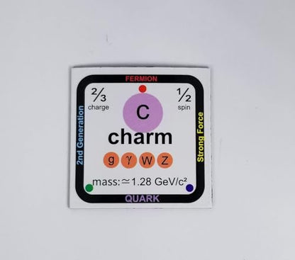 Standard Model of Particle Physics Magnet Display Set