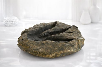VEOJEIN Large Jurassic Dinosaur Footprint Fossil Replica – Realistic Resin Track Cast, Prehistoric Fossil Stone Décor Ancient Gift, Catch-All Tray for Keys Coins Jewelry – Shelf Decor 10.5" x 9.3"