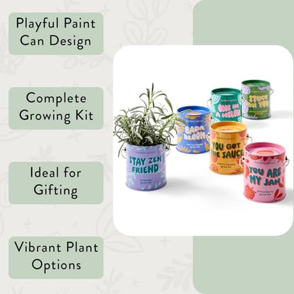 Modern Sprout Complimentary Color Grow Kits - Seed Starter Kit, Pack of 6 - size: Pack of 6