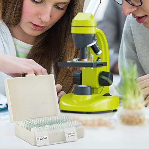 Onion Root Tips Mitosis Microscope Slides Set, 25PCS Pack Slides Show Plant Mitosis for Biology Science Class (25 Count) - color: 25 count