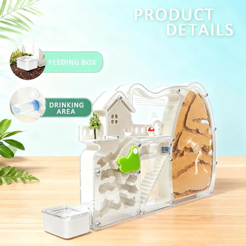 Ant Farms with Forage Box, Large Sand Ant Colony Observation Kit