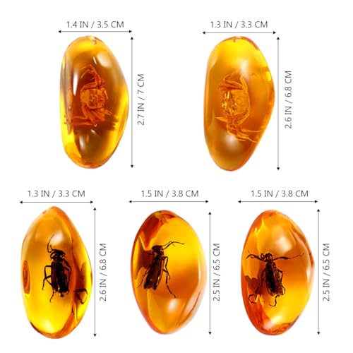 Amber Insect Specimens, 5 Pcs Unique Resin Stones with Real Bugs, Perfect for Jewelry Making, DIY Crafts, Home & Classroom Decor, Ideal Science Gifts for Kids & Adults