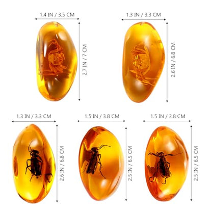 Amber Insect Specimens, 5 Pcs Unique Resin Stones with Real Bugs, Perfect for Jewelry Making, DIY Crafts, Home & Classroom Decor, Ideal Science Gifts for Kids & Adults