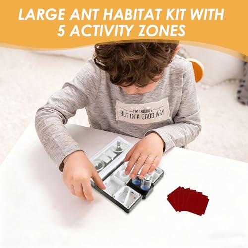 Ant Farm Nest - Educational Habitat - Black and White Acrylic Design with Built-in Water Tower and Clear Observation Area (L) - size: L